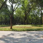 Taman Anggrek di area GBK